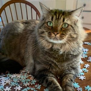 Meet your Posher, Leah